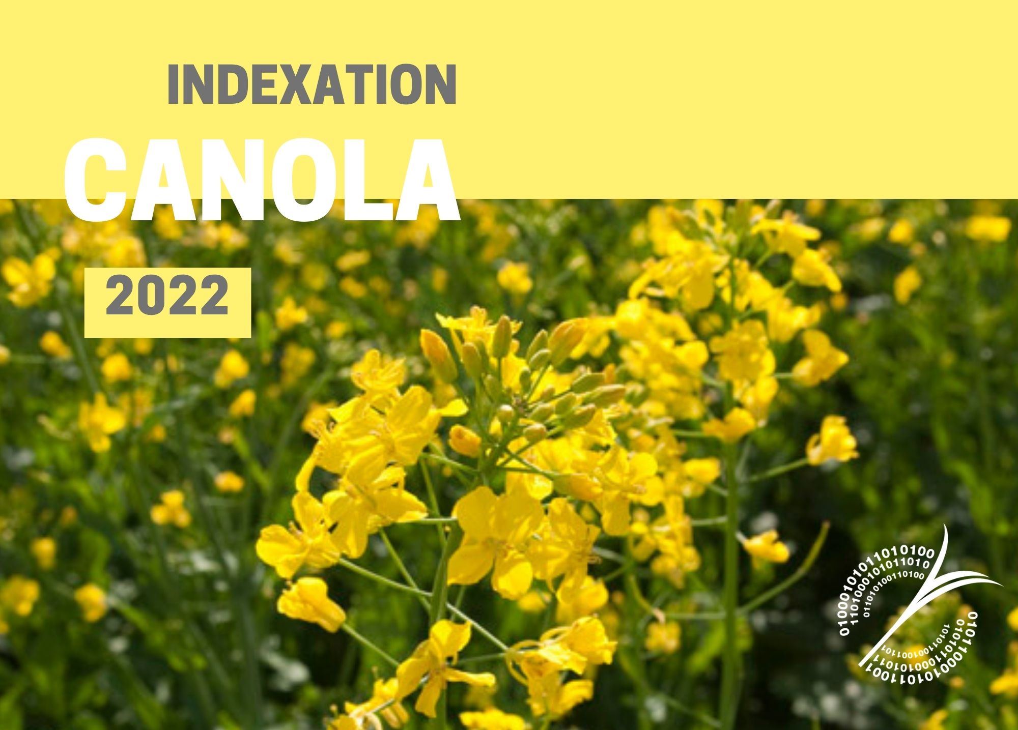 étude : INDEXATION 2022 - CANOLA